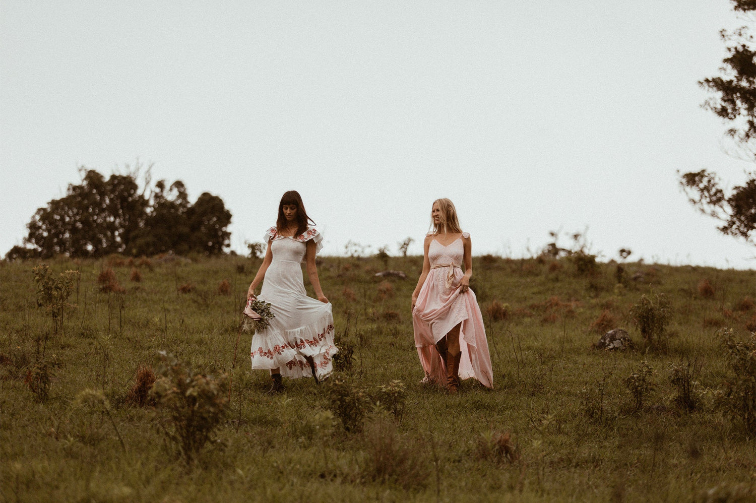 Hinterland Dream