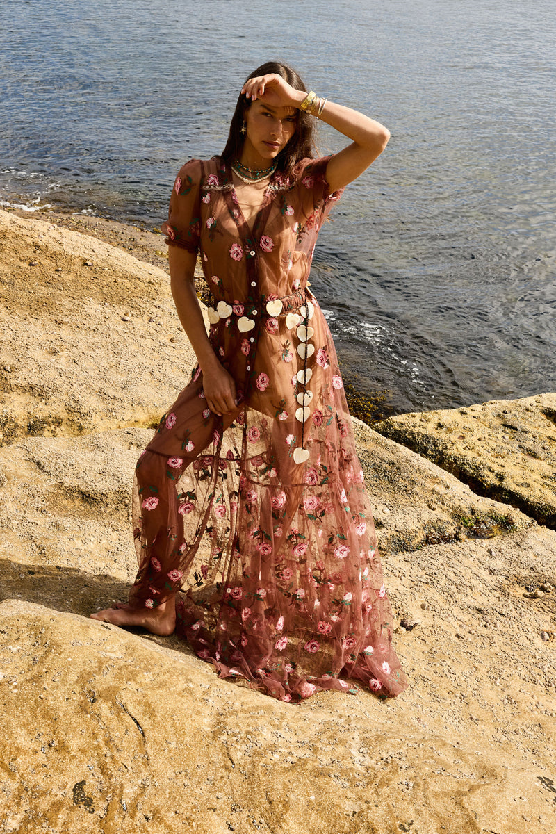 Last Night Tulle Embroidered Maxi Dress