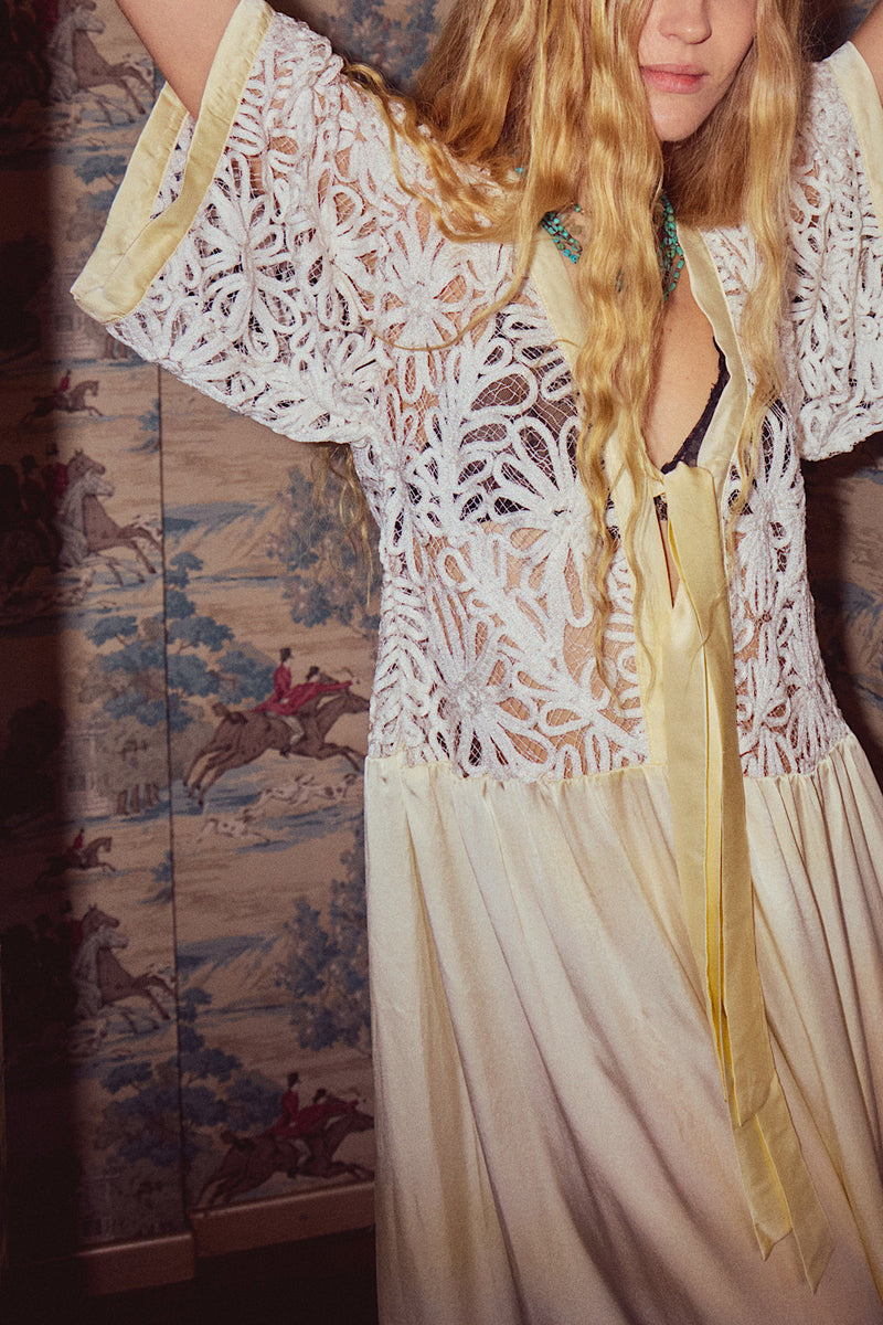 Dream a Little Dream of Me Silk + Corded Lace Maxi Dress