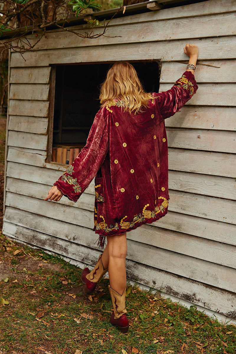 Proud Mary Silk Velvet And Embroidered Short Housecoat - Ruby - Chasing Unicorns