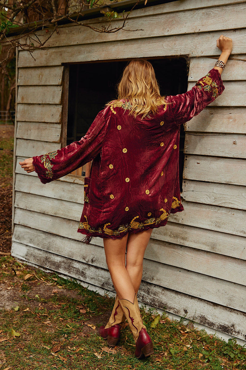 Proud Mary Silk Velvet And Embroidered Short Housecoat - Ruby - Chasing Unicorns
